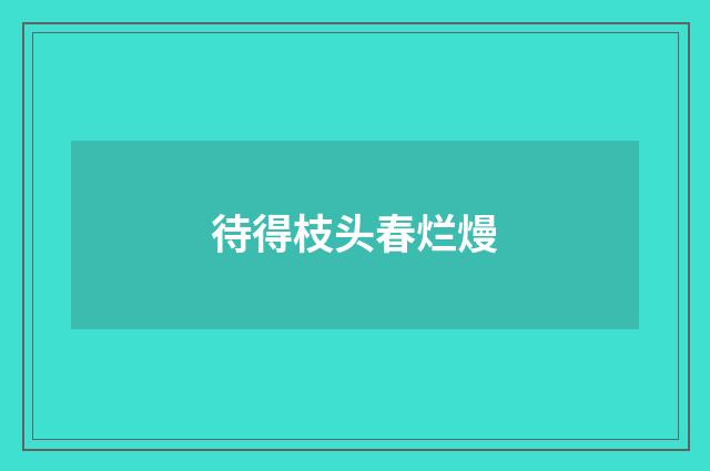 待得枝头春烂熳