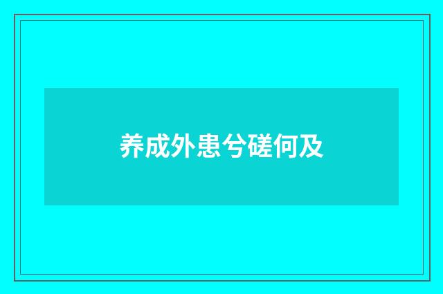 养成外患兮磋何及