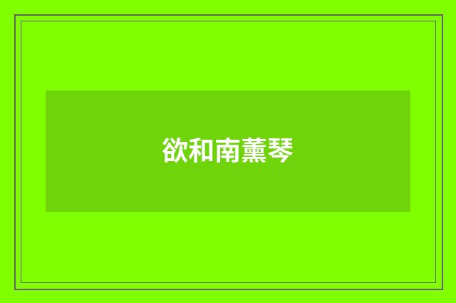 欲和南薰琴