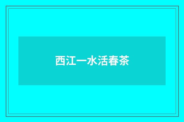 西江一水活春茶
