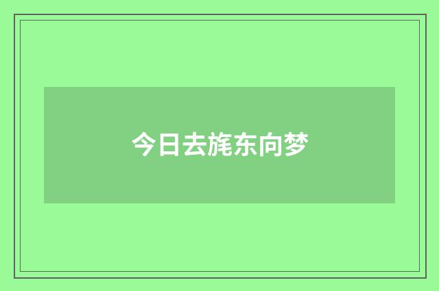 今日去旄东向梦