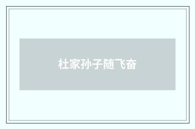 杜家孙子随飞奋