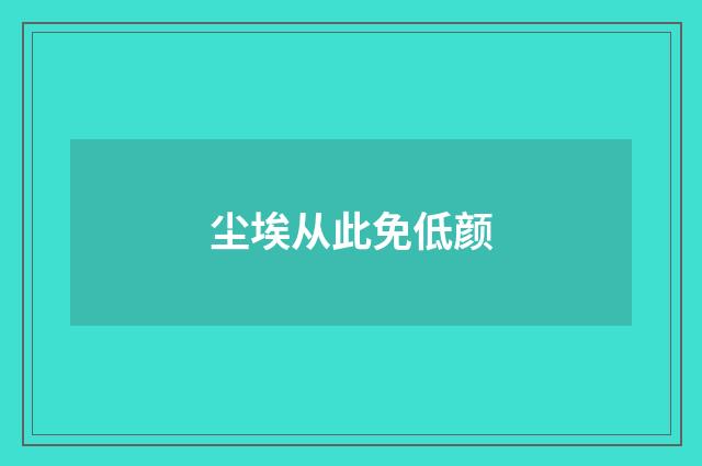 尘埃从此免低颜