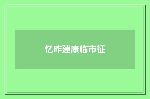 忆昨建康临市征