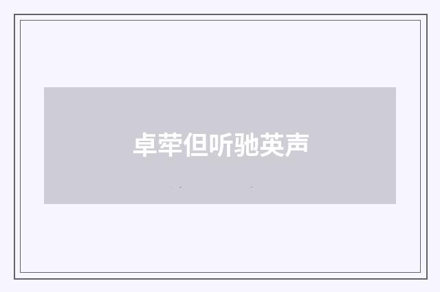 卓荦但听驰英声