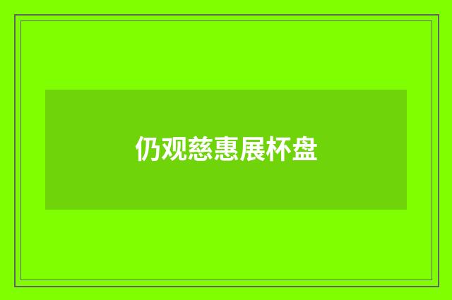 仍观慈惠展杯盘
