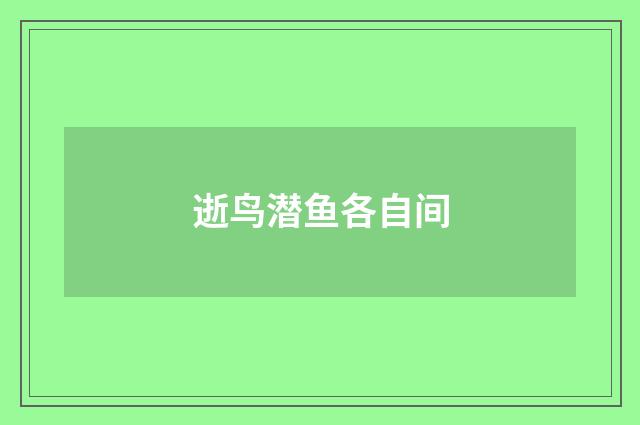 逝鸟潜鱼各自间