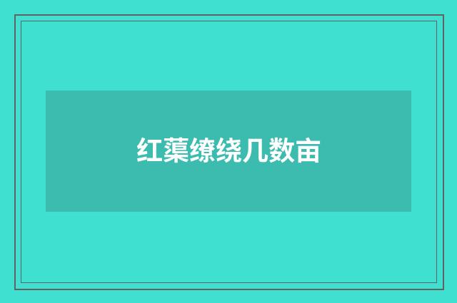 红蕖缭绕几数亩