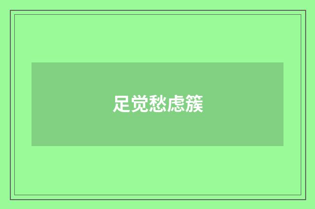 足觉愁虑簇