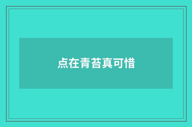 点在青苔真可惜