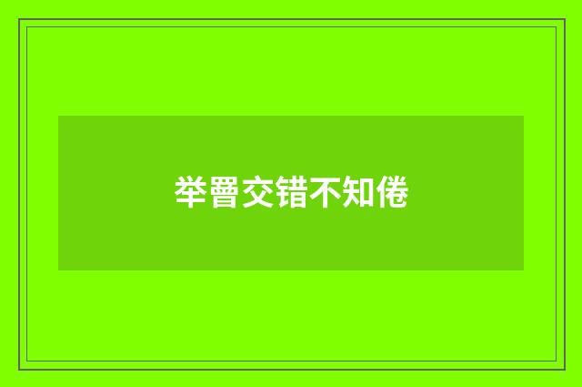 举罾交错不知倦
