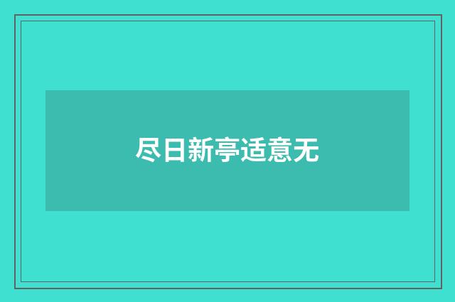 尽日新亭适意无