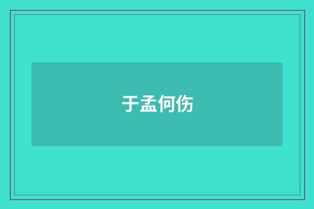 于孟何伤