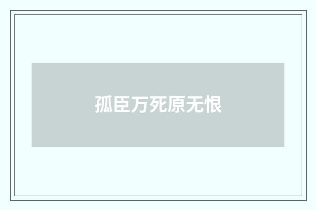 孤臣万死原无恨