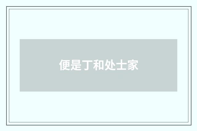 便是丁和处士家