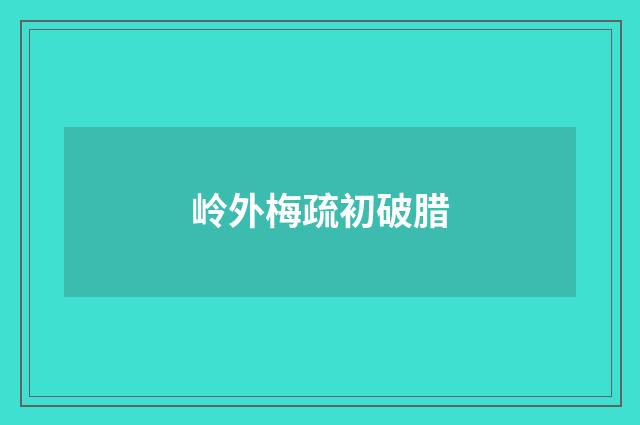 岭外梅疏初破腊