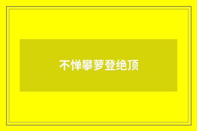 不惮攀萝登绝顶