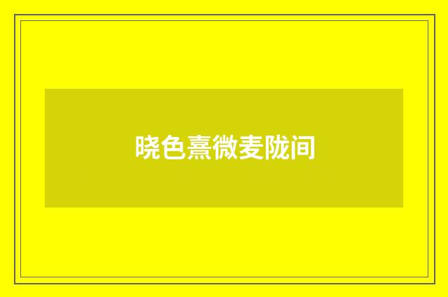 晓色熹微麦陇间