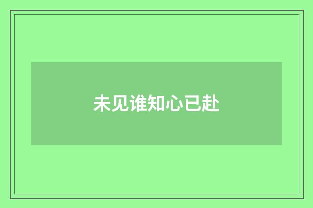 未见谁知心已赴
