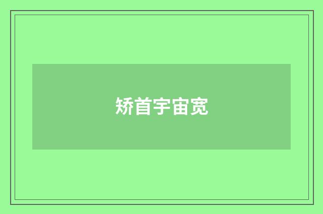 矫首宇宙宽