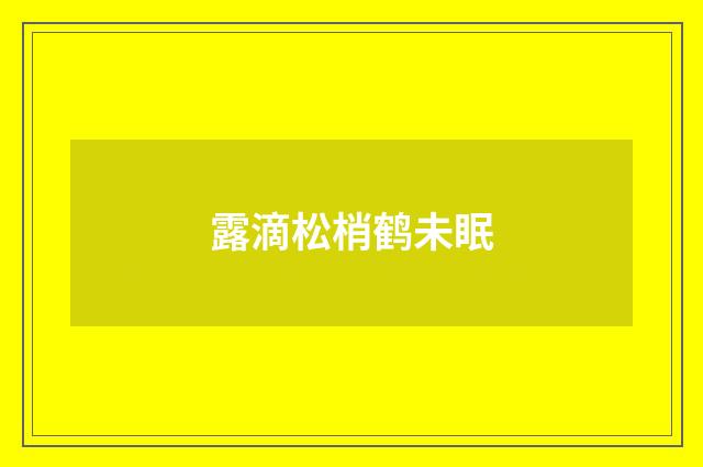 露滴松梢鹤未眠