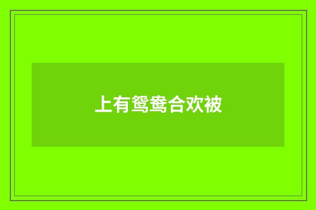 上有鸳鸯合欢被