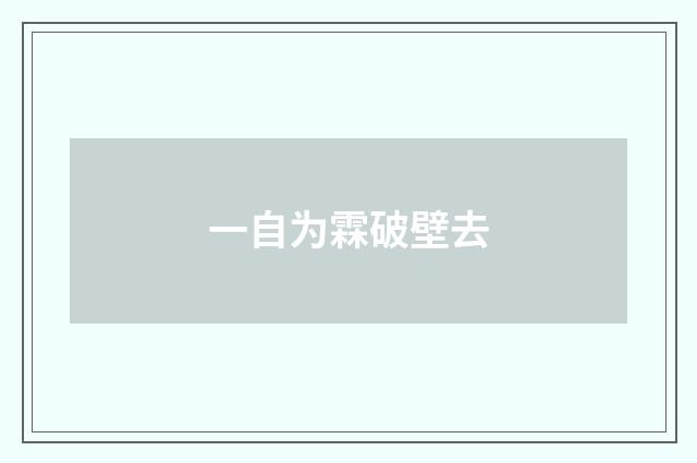 一自为霖破壁去