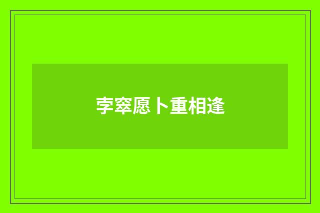 孛窣愿卜重相逢