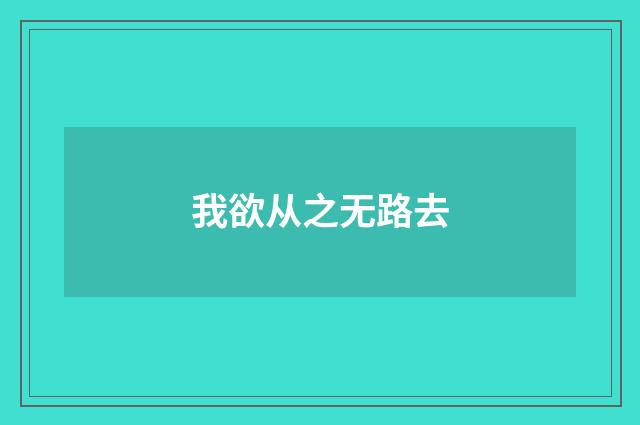 我欲从之无路去