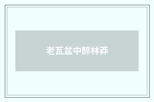 老瓦盆中醉林莽