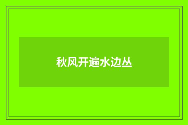 秋风开遍水边丛
