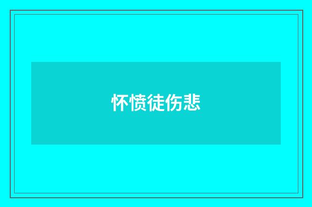 怀愤徒伤悲
