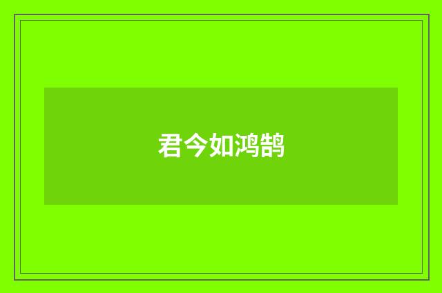 君今如鸿鹄