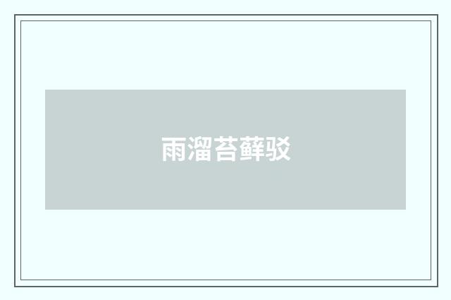 雨溜苔藓驳