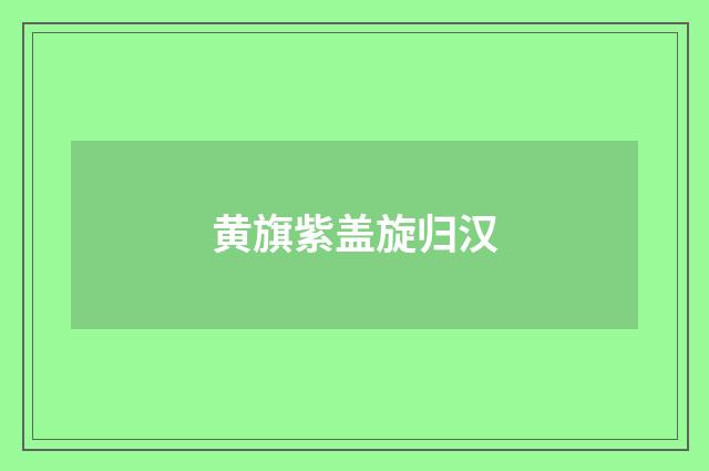 黄旗紫盖旋归汉