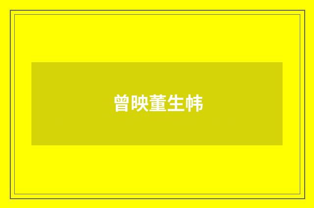 曾映董生帏