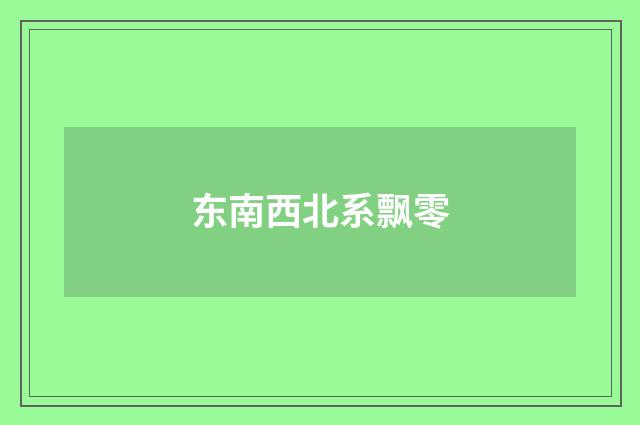东南西北系飘零