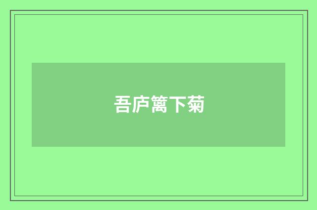 吾庐篱下菊