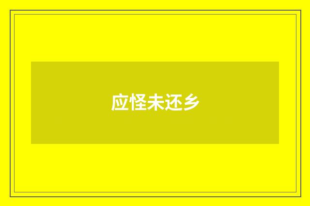 应怪未还乡