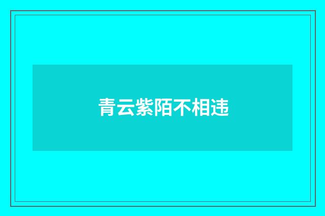 青云紫陌不相违