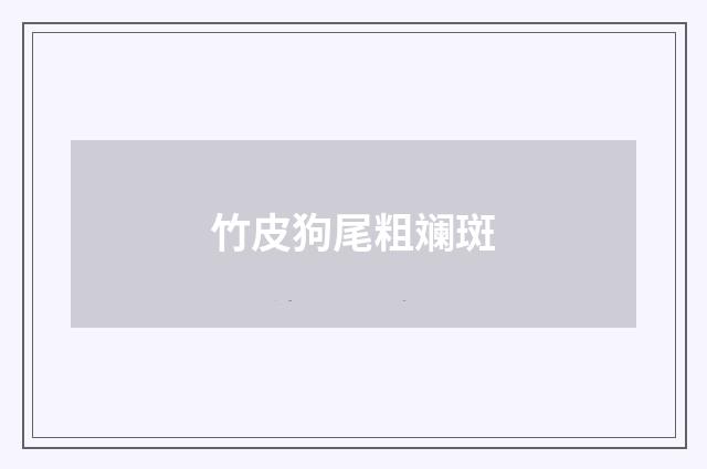 竹皮狗尾粗斓斑