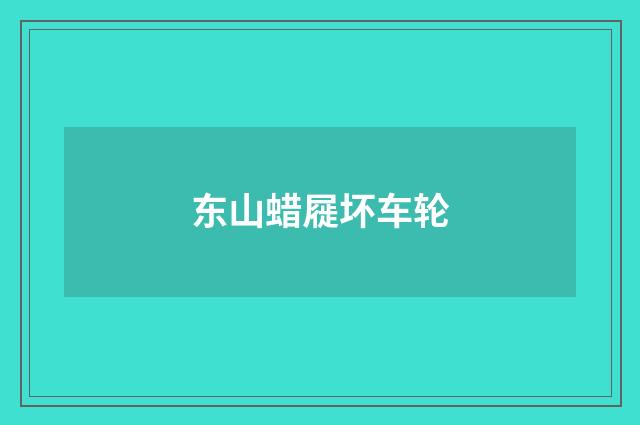 东山蜡屣坏车轮