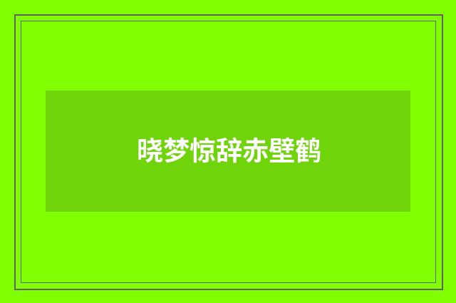 晓梦惊辞赤壁鹤