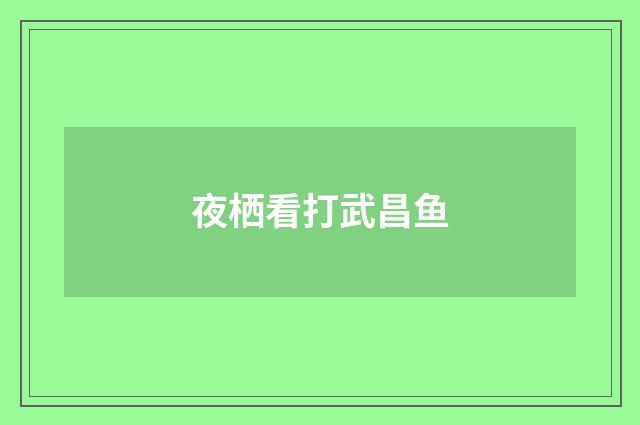 夜栖看打武昌鱼