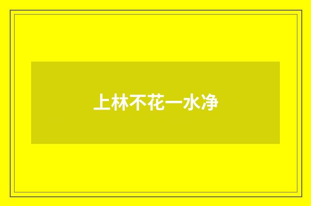 上林不花一水净
