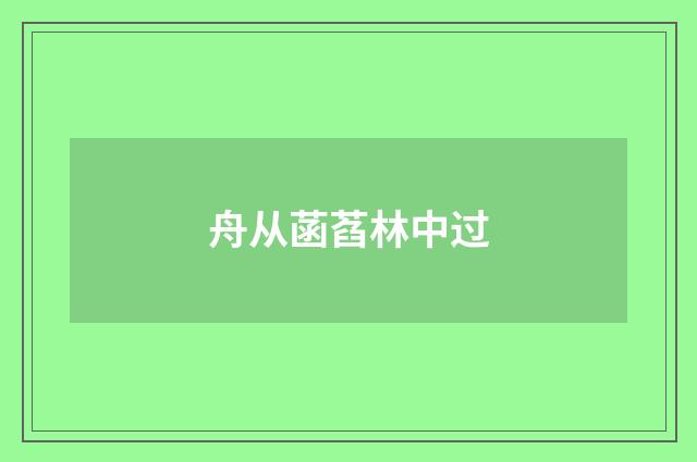 舟从菡萏林中过
