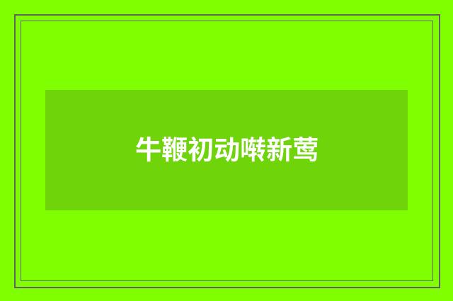 牛鞭初动啭新莺