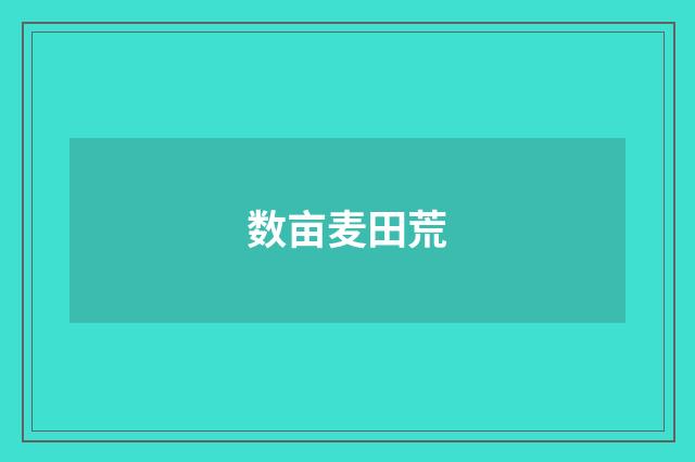 数亩麦田荒