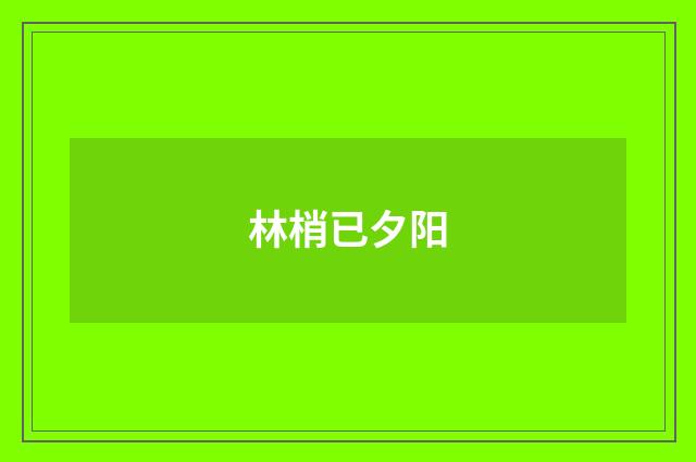 林梢已夕阳