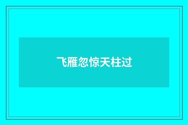 飞雁忽惊天柱过